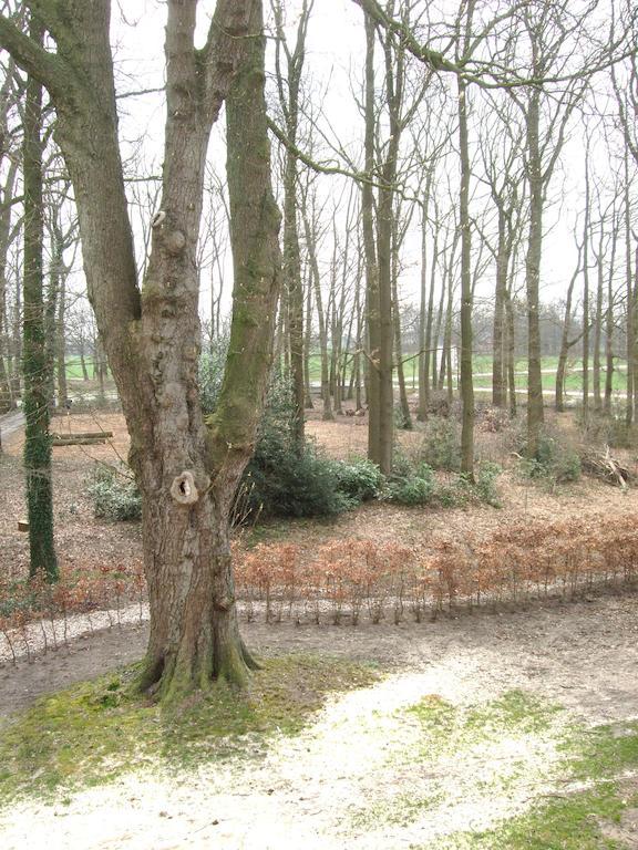 Landgoed De Lavei Bed and Breakfast Weleveld Eksteriør billede